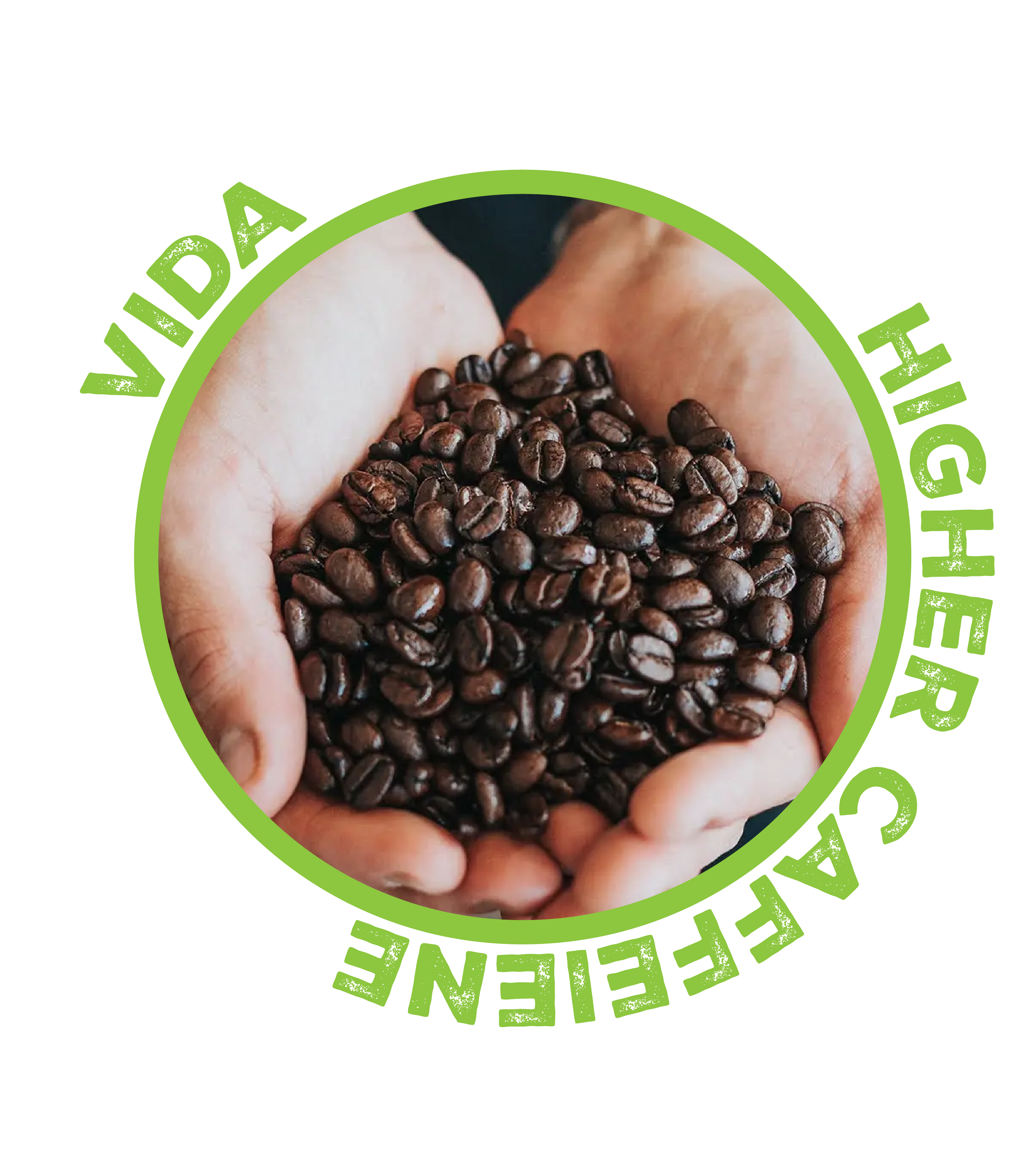 vida new